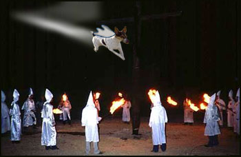 The White Blur - Super Hero